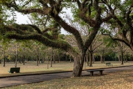 Urbia lança Programa Escola no Parque com foco em educação para sustentabilidade para estudantes do Ensino Infantil ao Médio