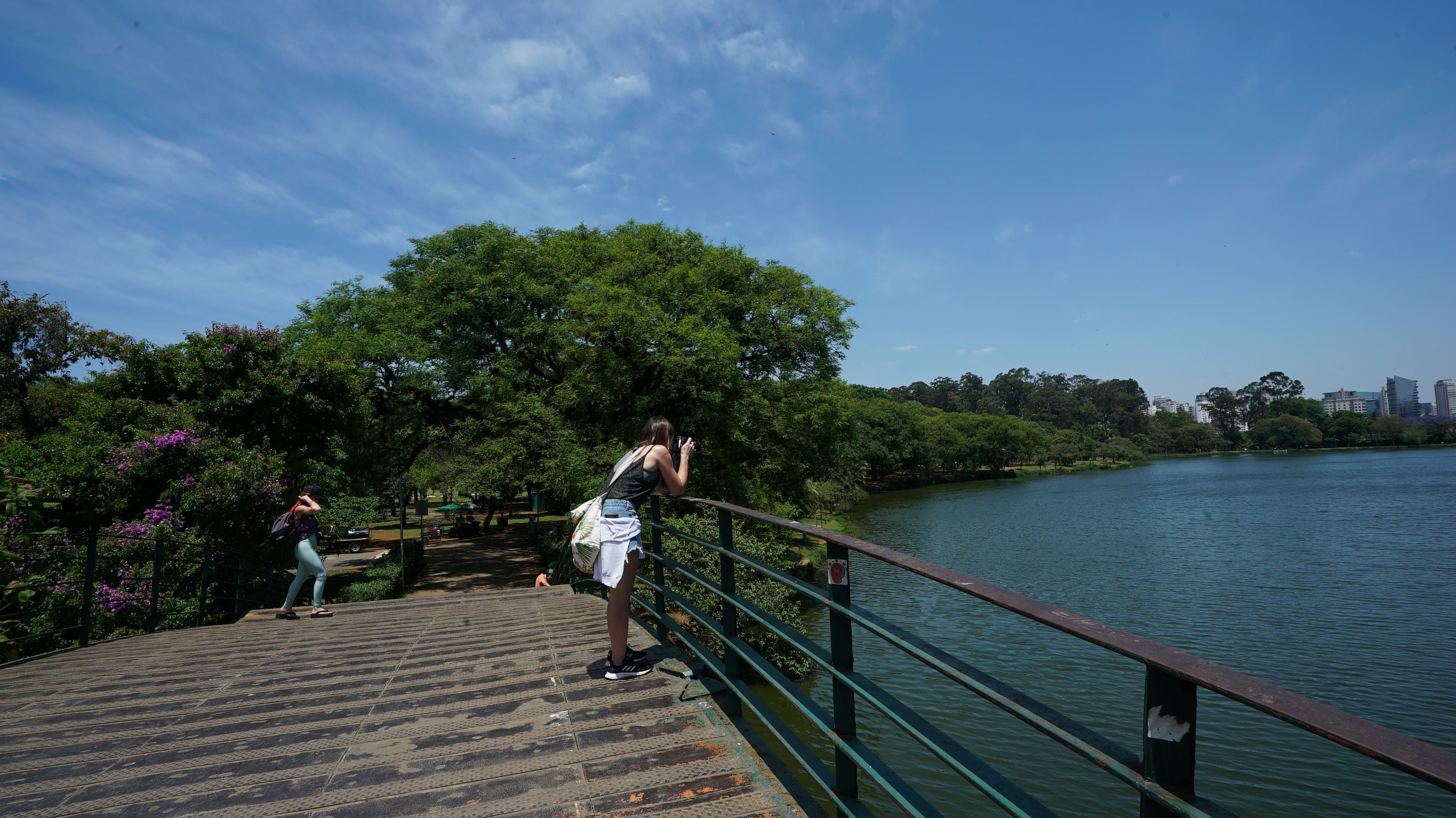 Parque Ibirapuera entra em clima de festas de fim de ano e traz Concerto da Escola de Música e programação de Natal e Horto Florestal realizará cantatas natalinas